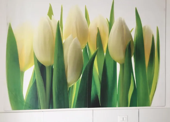 Affittacamere Mare Fuori Guest house La Spezia