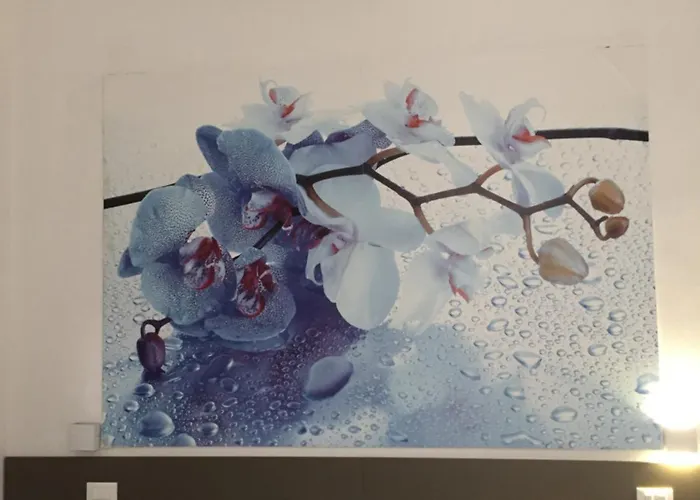 Affittacamere Mare Fuori La Spezia